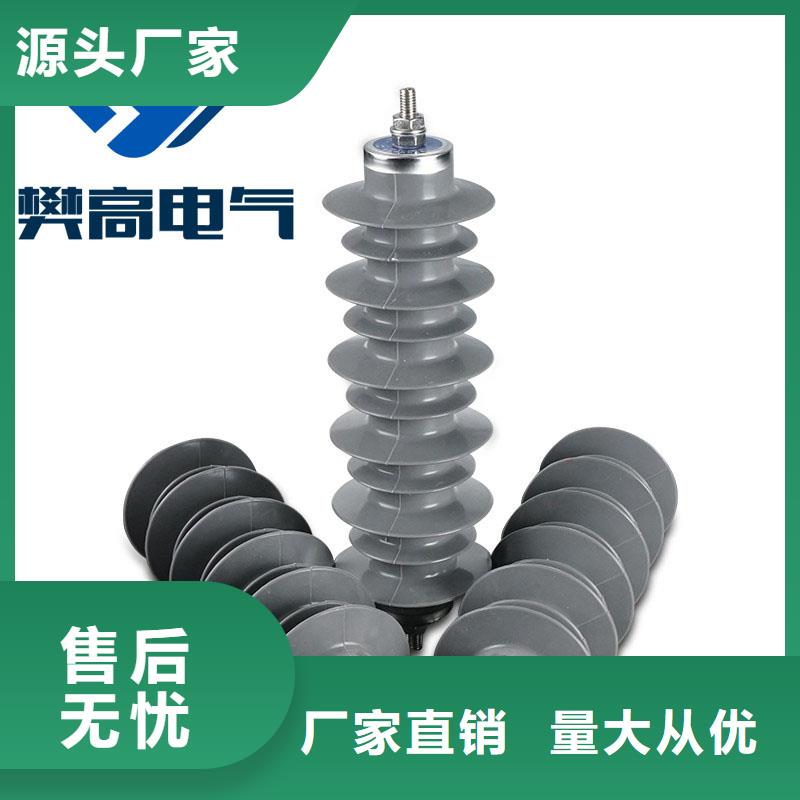 FYS-0.22高压避雷器