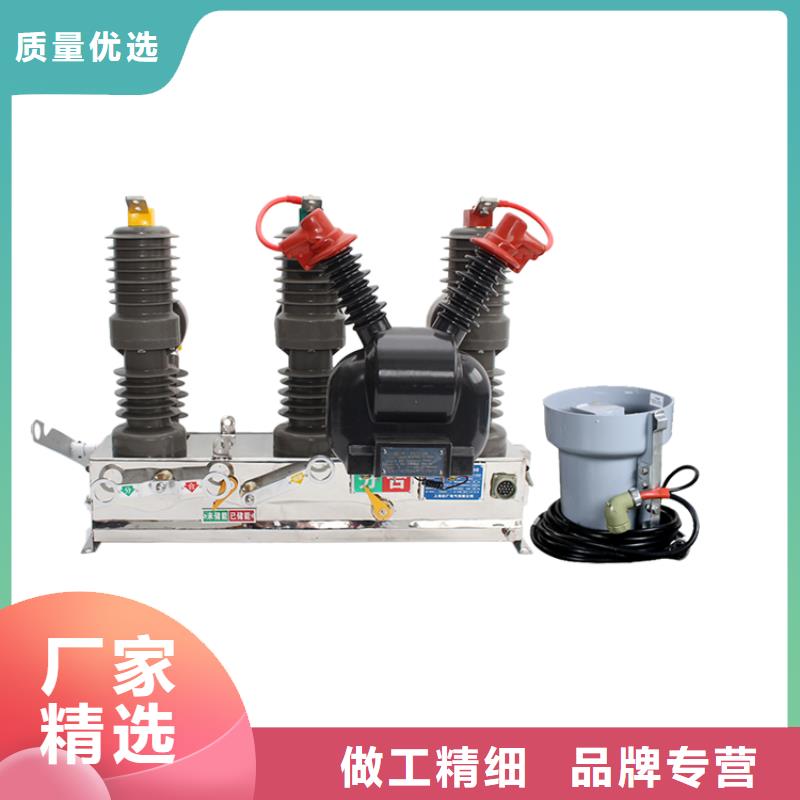 承德ZW8M-12/T630-25真空断路器源头厂家