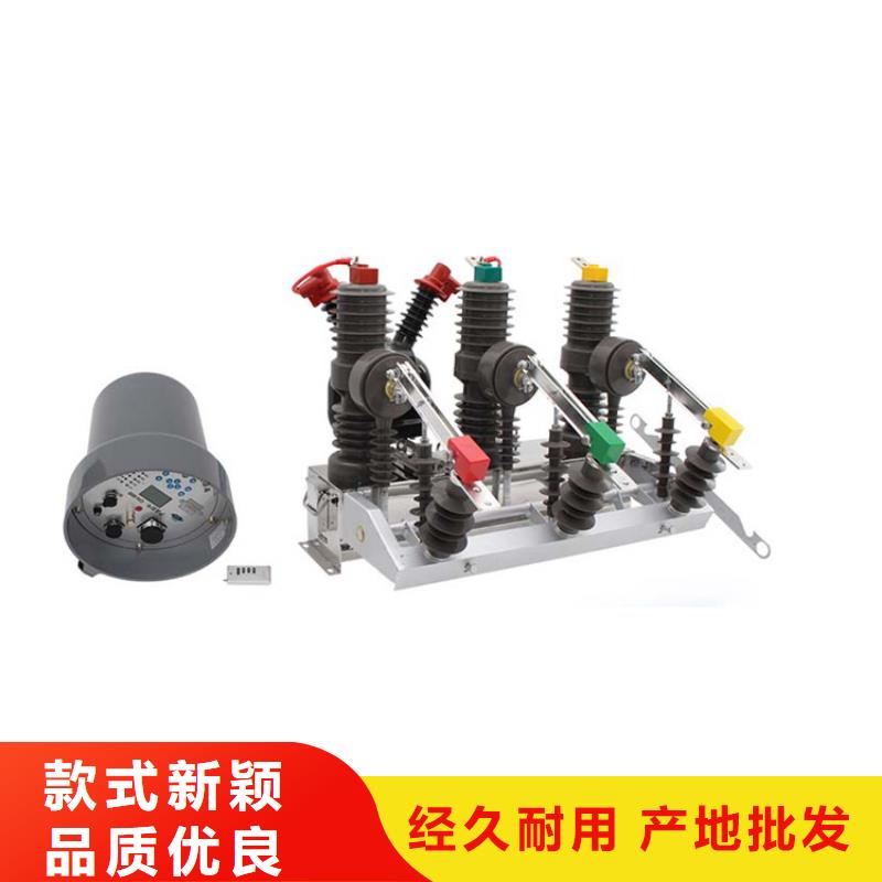 湘潭ZW8A-12G/T630-20真空断路器源头厂家