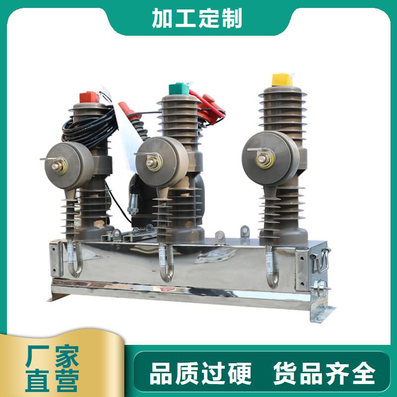 怒江ZW8-12/T630-25真空断路器售后无忧