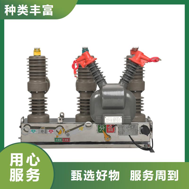 辽源ZWM9-12/630-20永磁智能断路器真空断路器规格齐全