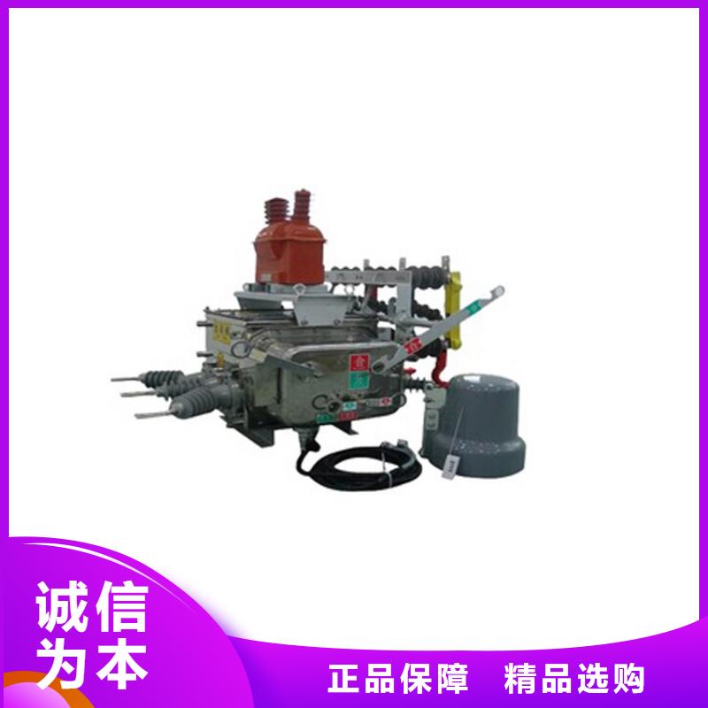 济南ZW37A-40.5/1250-31.5真空断路器诚信为本批发价格真空断路器