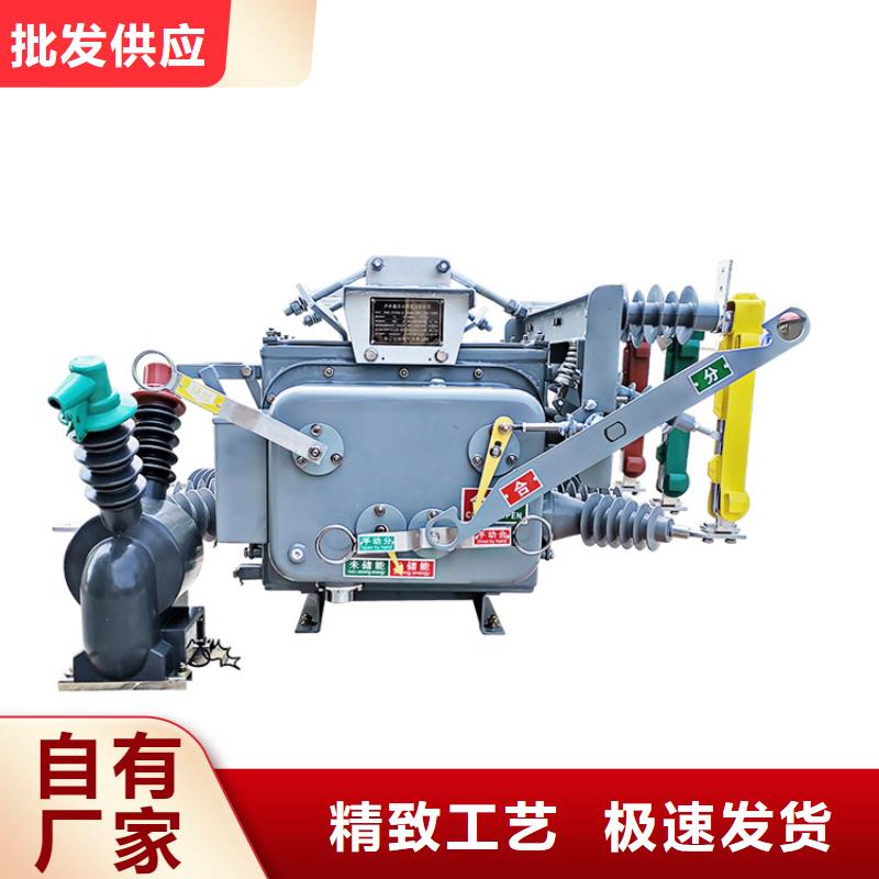新乡ZW8A-12/T630-12.5真空断路器售后无忧