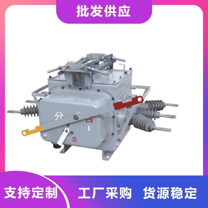 攀枝花ZW8-12/T630-20真空断路器售后无忧