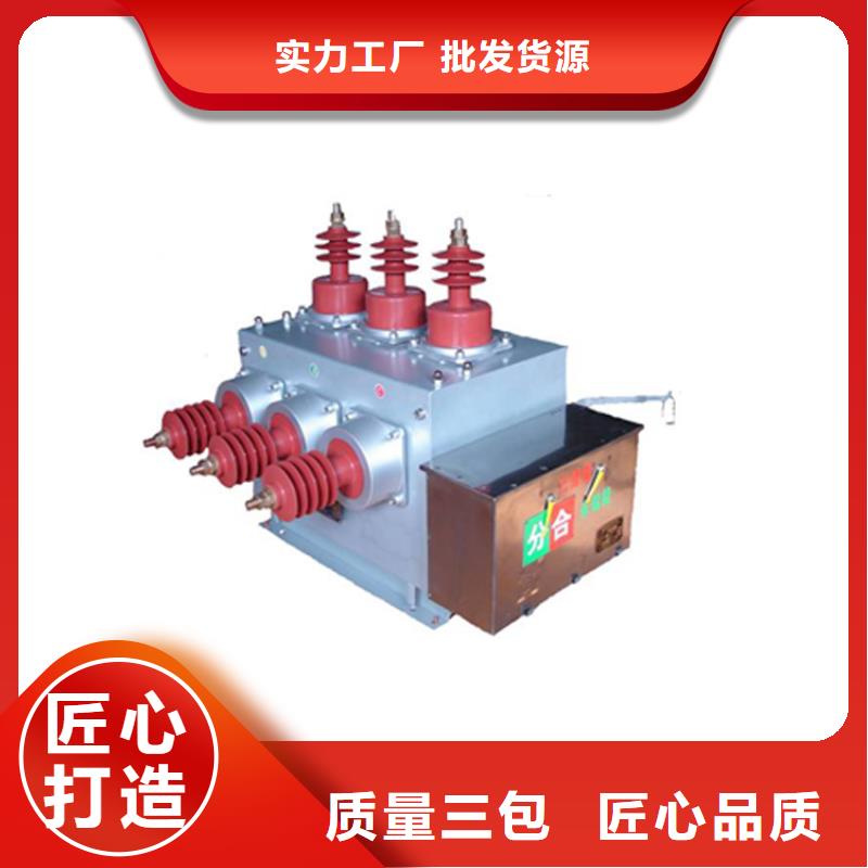 来宾ZW32P-12G/T1250-31.5经验丰富品质可靠