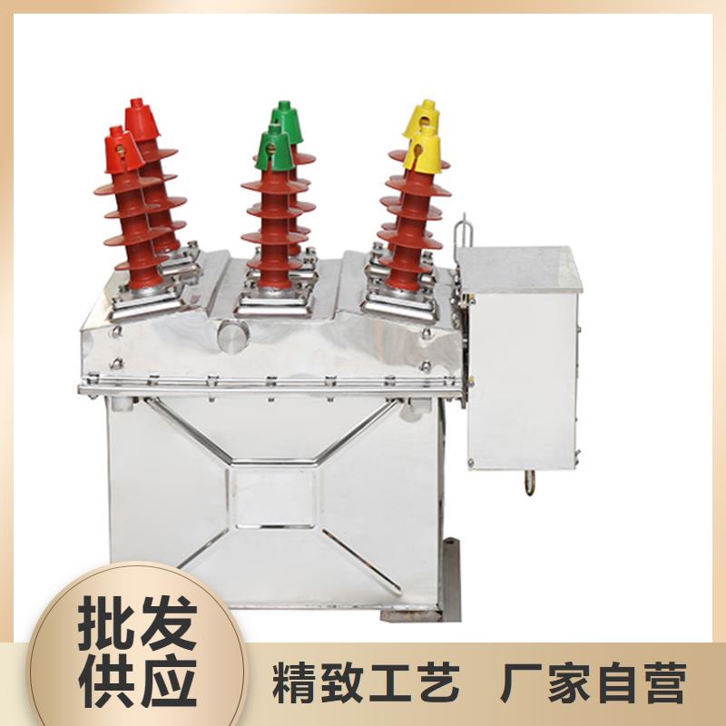 攀枝花ZW8-12/T630-20真空断路器售后无忧