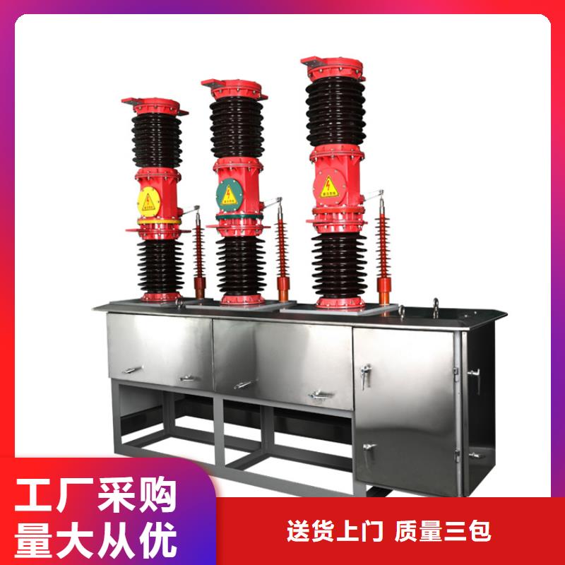 攀枝花ZW8-12/T630-20真空断路器售后无忧
