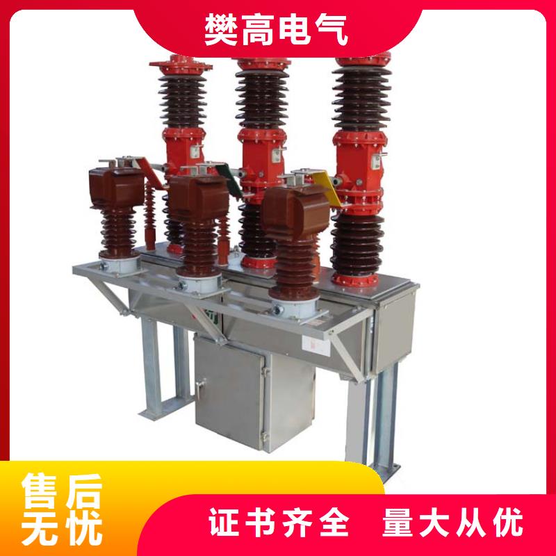 来宾ZW32P-12G/T1250-31.5经验丰富品质可靠
