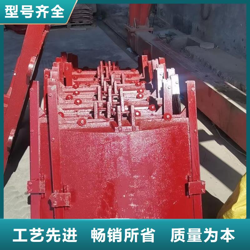娄底城市建设机闸一体闸门技术领先