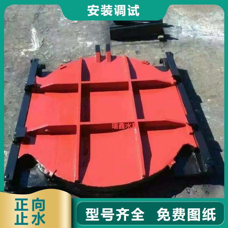 日喀则水电站机门一体铸铁闸门按需定制
