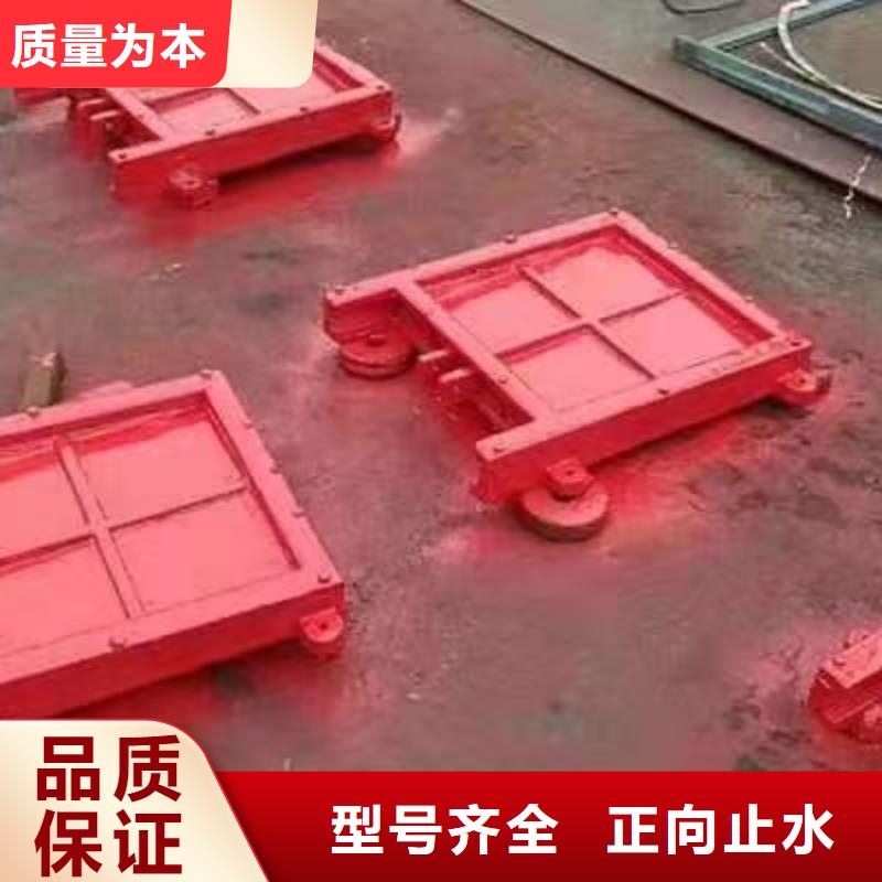 辽阳灌区暗杆式铸铁镶铜闸门水利设备