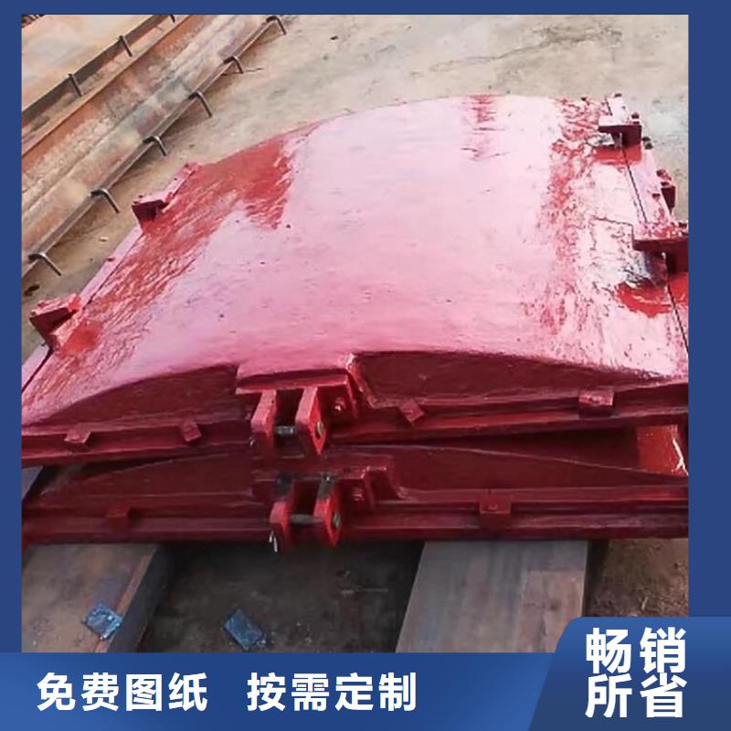 娄底城市建设机闸一体闸门技术领先