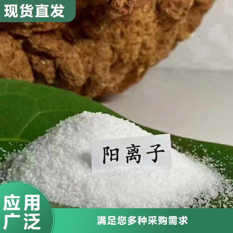 PAM运输便捷闪电