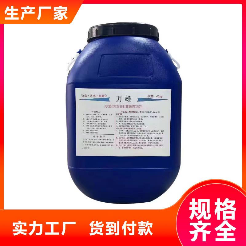 CPO-三防一体防腐防水涂料精工细致打造量大从优CSPA复合防腐防水涂料