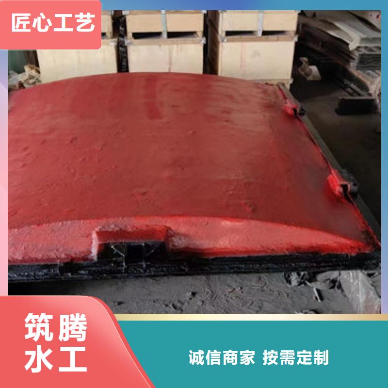 镶铜铸铁闸门诚信为本