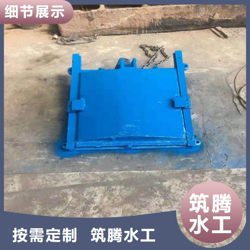 平板铸铁闸门源头厂家