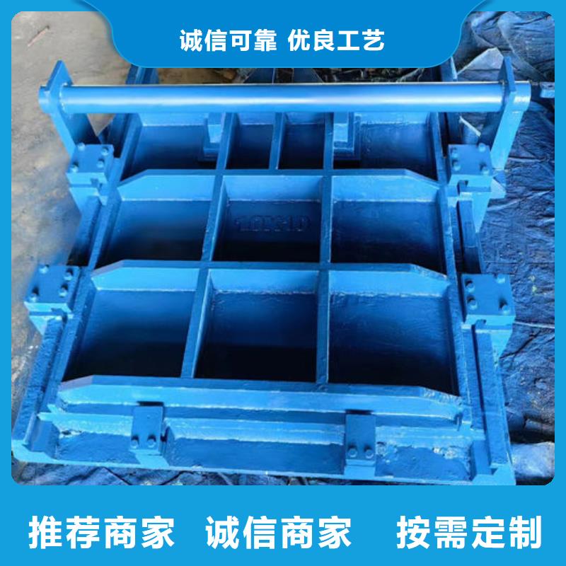 冲砂闸铸铁闸门用心经营