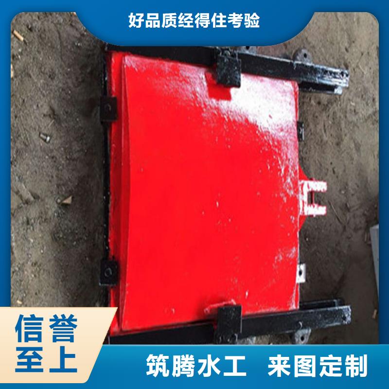 双向铸铁闸门用心经营