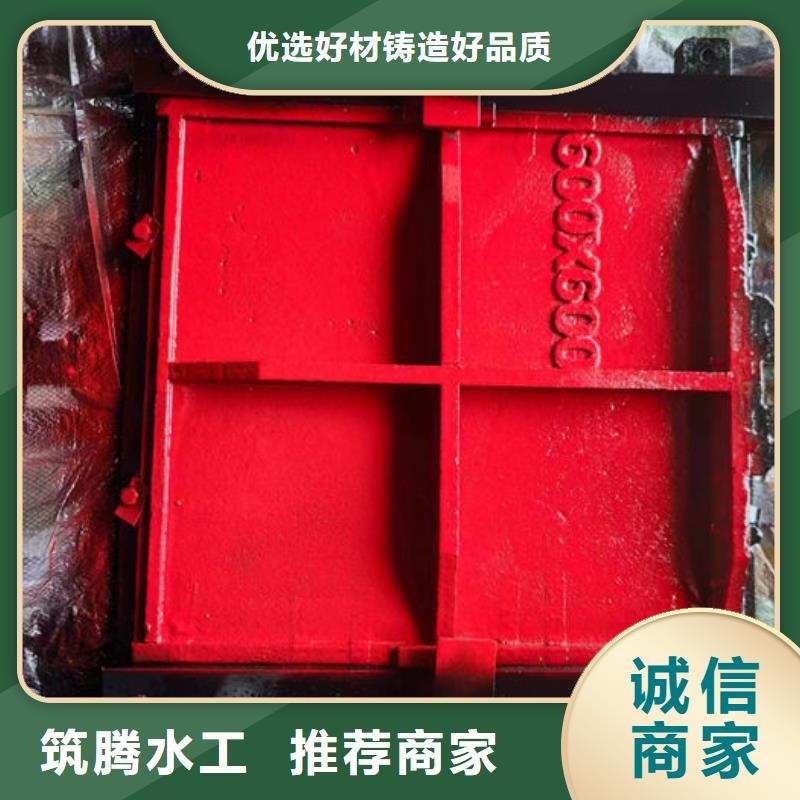 机门一体闸门型号齐全