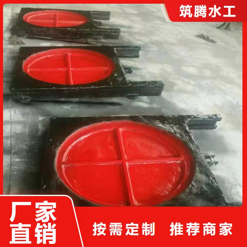 铸铁镶铜闸门型号齐全