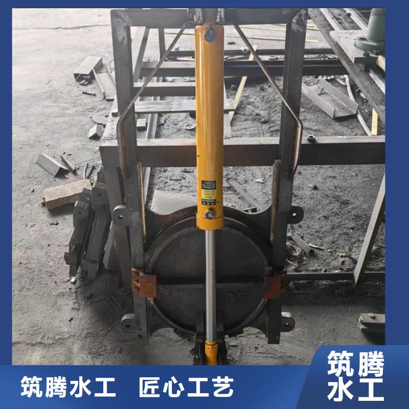 机门一体闸门厂家直营