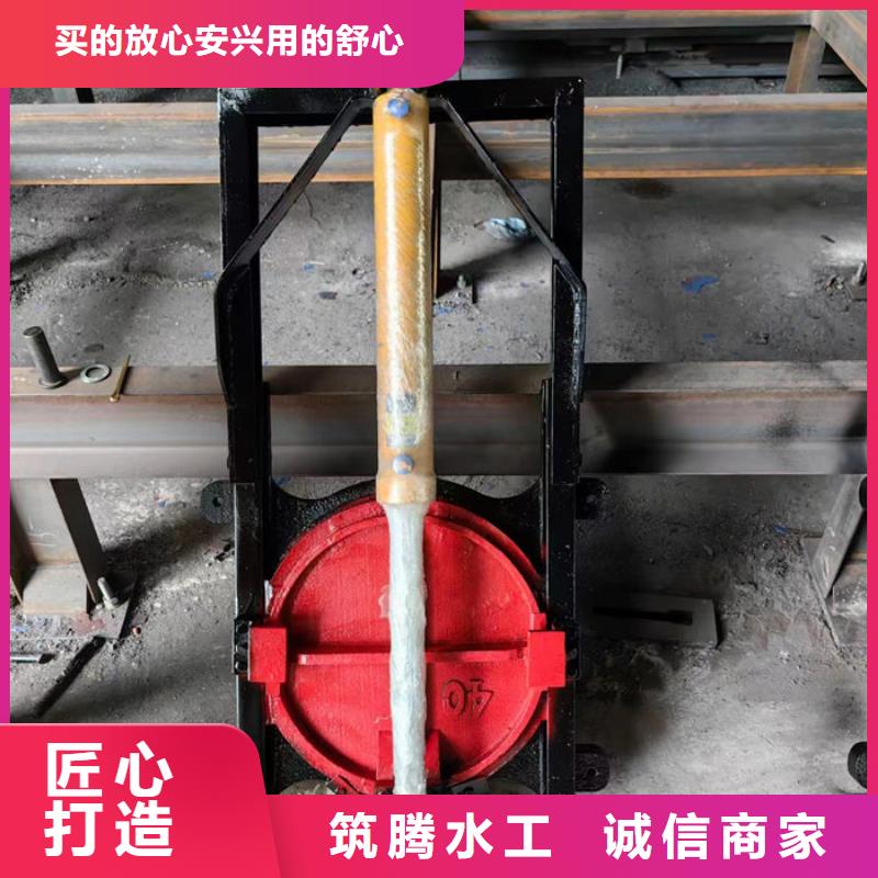 平板铸铁闸门源头厂家