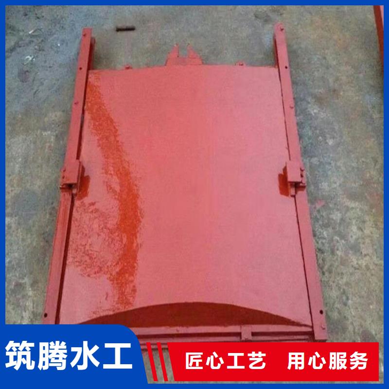 机门一体闸门厂家直营