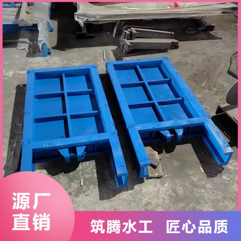 铸铁镶铜闸门工厂直供