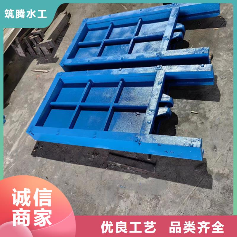 镶铜铸铁闸门诚信为本