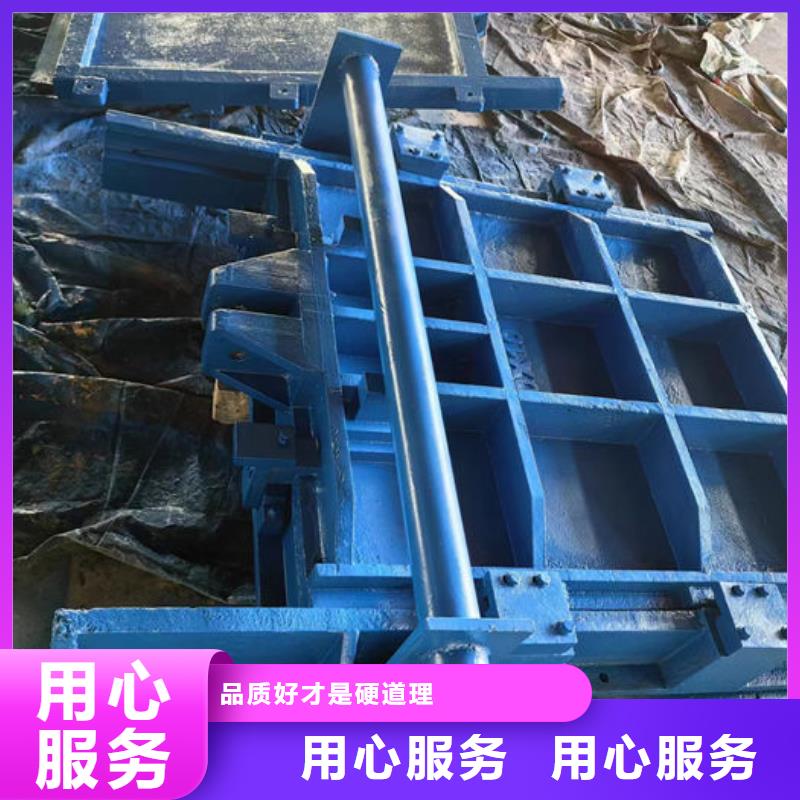 铸铁镶铜闸门型号齐全